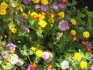 Istalif, Afghanistan 02.10.09 014