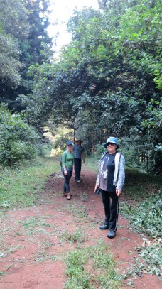 Fagan Forest walk Kenya