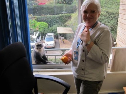 fagan with monkey in nairobi